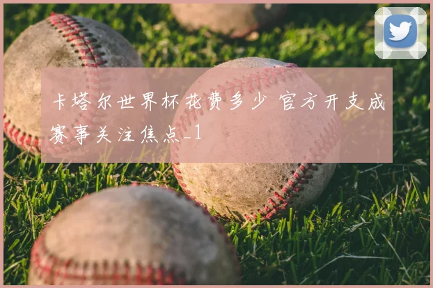 卡塔尔世界杯花费多少 官方开支成赛事关注焦点_1