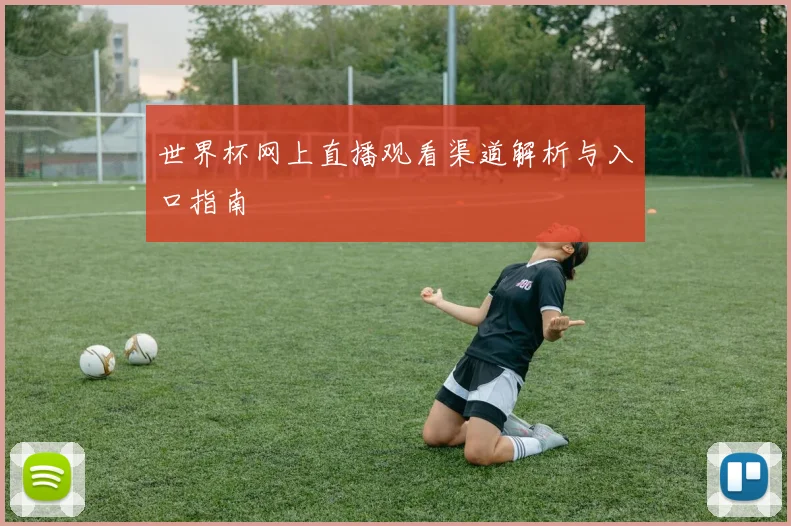 世界杯网上直播观看渠道解析与入口指南